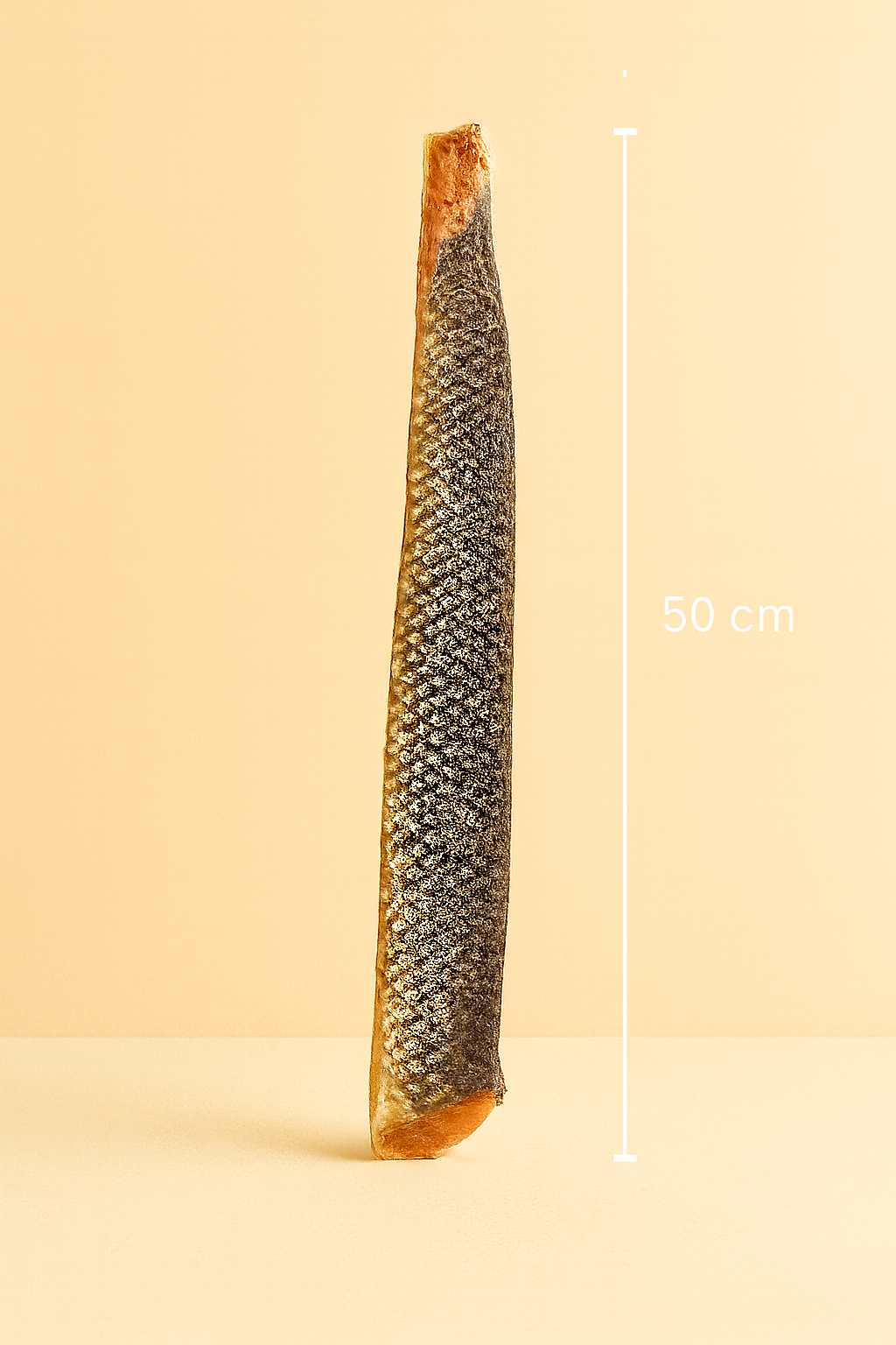 Peau de saumon XL avec chair